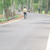 Nayagaram Road